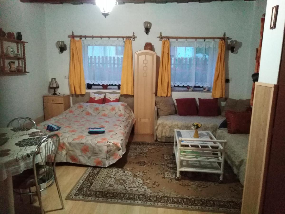 Apartamento Bekecs Vendégház Nagyvisnyó Exterior foto