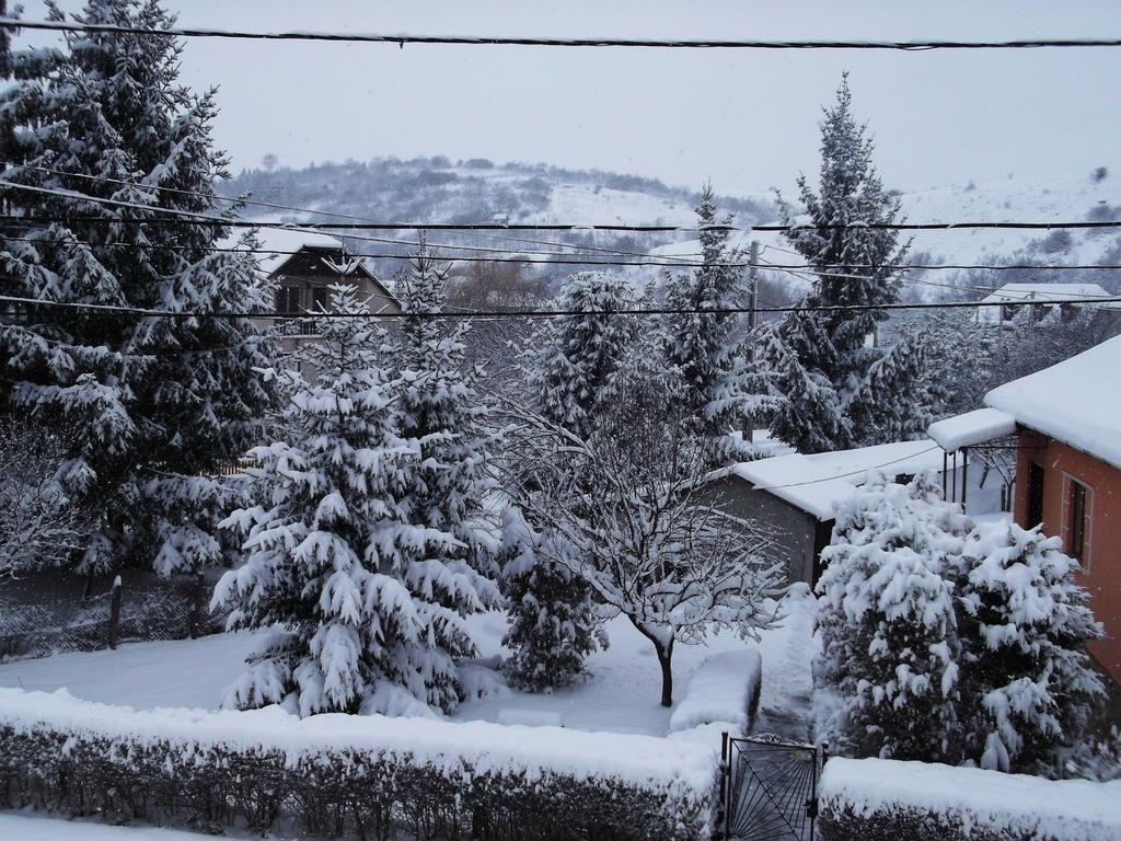 Apartamento Bekecs Vendégház Nagyvisnyó Exterior foto